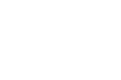 Морской язык